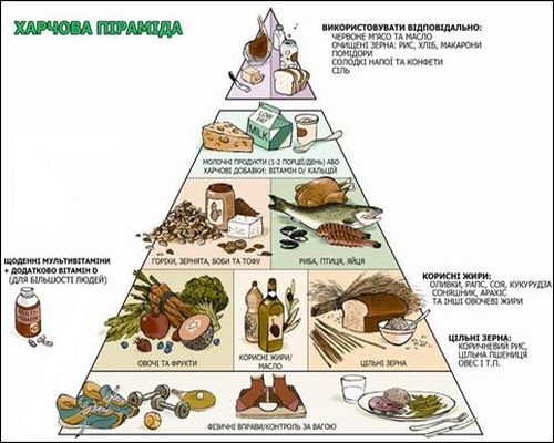 Піраміда харчування