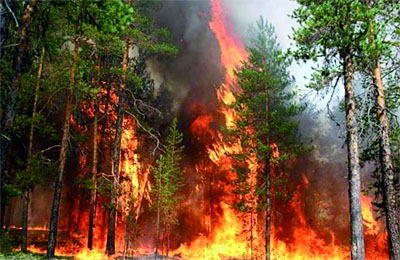 Лісові пожежі. Забруднення морів і річок