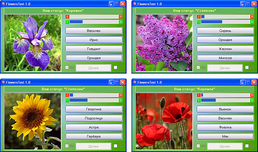 Скріншоти тесту з природознавства Назви квітку