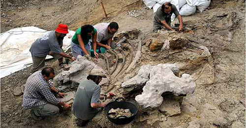 Розкопки динозавра палеонтологами