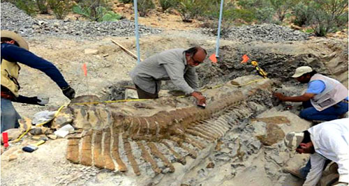 Розкопки скелету мегалозавра